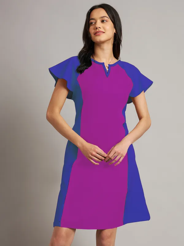 BRINNS_Women_Pure_Cotton_Colourblocked_Sheath_Dress