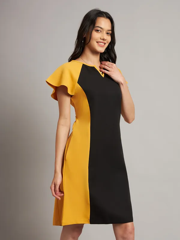BRINNS_Women_Pure_Cotton_Colourblocked_Sheath_Dress