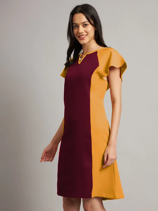 BRINNS_Women_Pure_Cotton_Colourblocked_Sheath_Dress