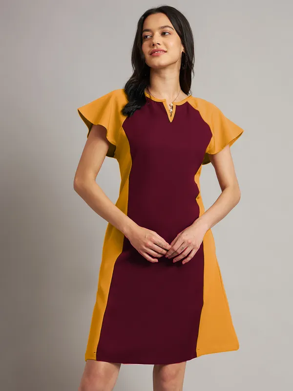 BRINNS_Women_Pure_Cotton_Colourblocked_Sheath_Dress