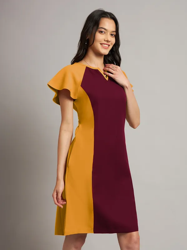 BRINNS_Women_Pure_Cotton_Colourblocked_Sheath_Dress