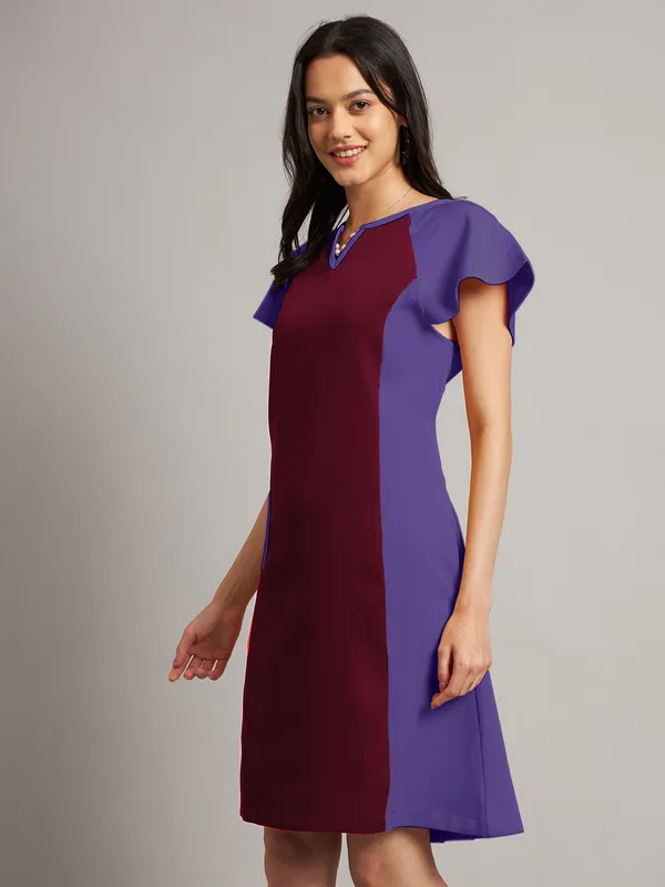 BRINNS_Women_Pure_Cotton_Colourblocked_Sheath_Dress