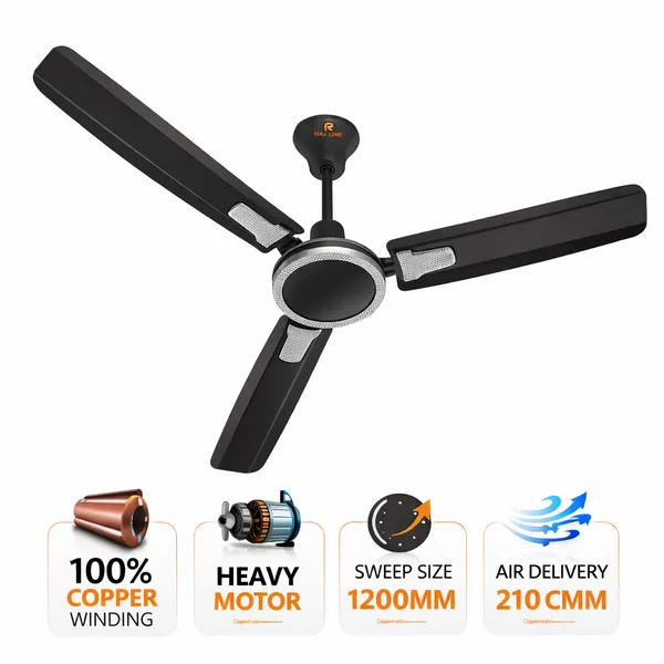 RAJ_LINE_48_inch_Copper_Winding_Ceiling_fan_with_2_Years_of_Warranty