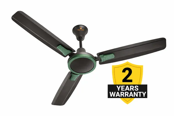 RAJ_LINE_Grey_48_inch_Copper_Winding_Ceiling_fan_with_2_Years_of_Warranty