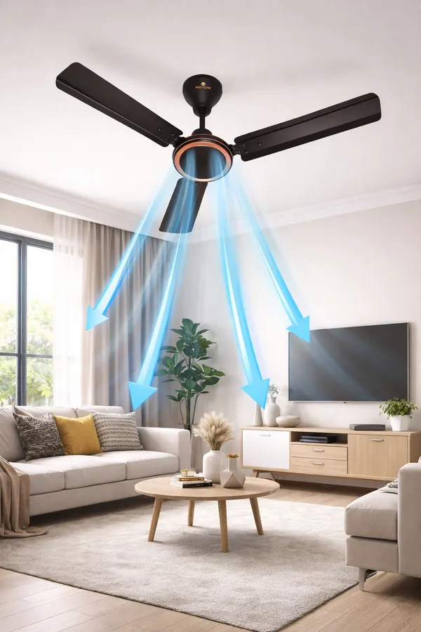 RAJ_LINE_Smoke_Brown_48_inch_Copper_Winding_Ceiling_fan_with_2_Years_of_Warranty