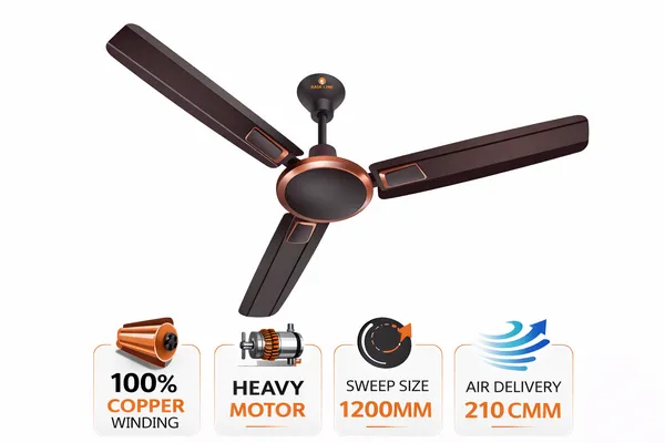 RAJ_LINE_Smoke_Brown_48_inch_Copper_Winding_Ceiling_fan_with_2_Years_of_Warranty