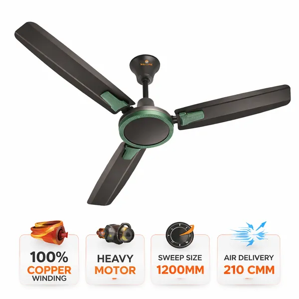 RAJ_LINE_Grey_48_inch_Copper_Winding_Ceiling_fan_with_2_Years_of_Warranty
