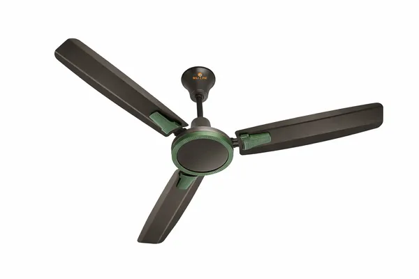 RAJ_LINE_Grey_48_inch_Copper_Winding_Ceiling_fan_with_2_Years_of_Warranty