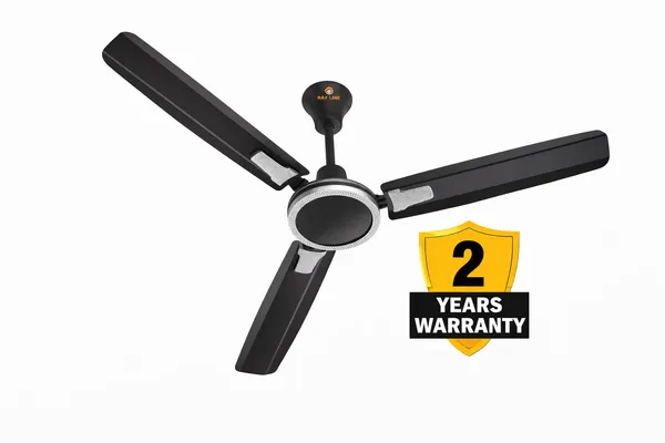 RAJ_LINE_48_inch_Copper_Winding_Ceiling_fan_with_2_Years_of_Warranty