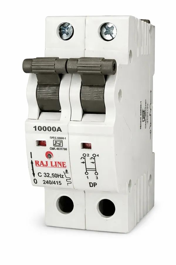 RAJ_LINE_63A_Double_Pole_MCB_(Miniature_Circuit_Breaker)