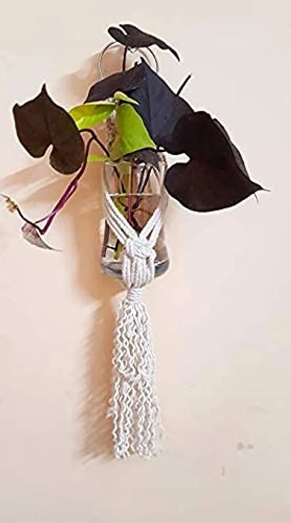 Zippy_Flora_Mini_Macrame_Plant_Hanger_,_Set_Of_2_Hangers_(Zf150618),_White