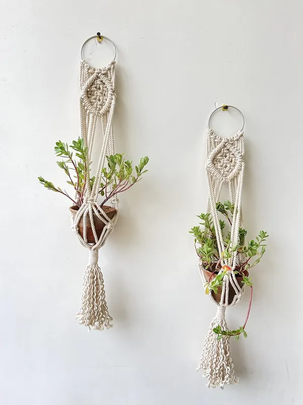 Zippy_Flora_Mini_Macrame_Plant_Hanger_,_Set_Of_2_Hangers_(Zf150618),_White