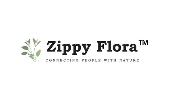Zippy_Flora_Mini_Macrame_Plant_Hanger_,_Set_Of_2_Hangers_(Zf150618),_White