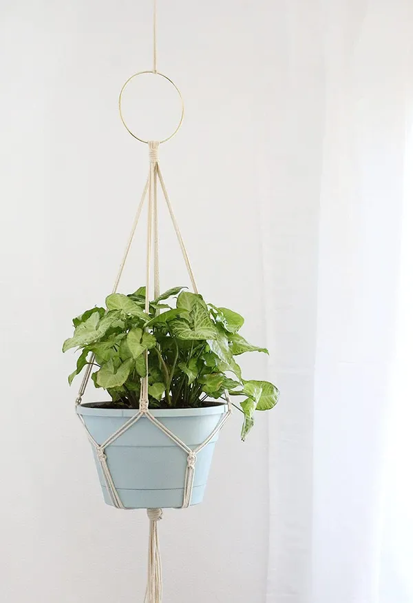 Off-White_Macrame_Handmade_Elegant_Plant_Hanger
