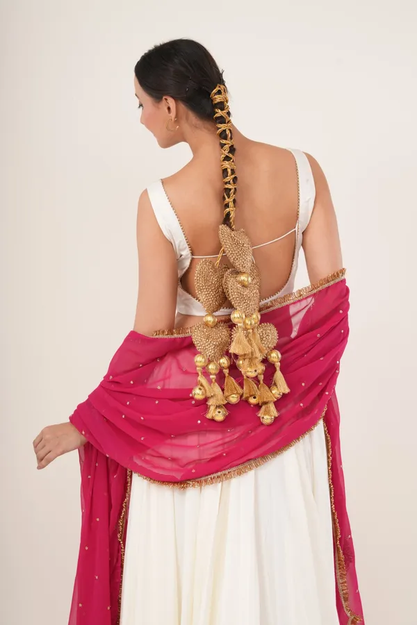 Dilruba_-_Wedding_Parandi