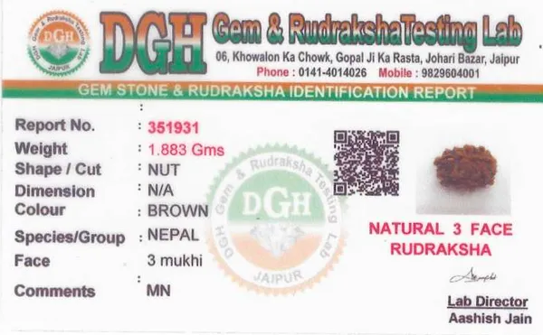 3_mukhi_rudraksha_(Nepali)