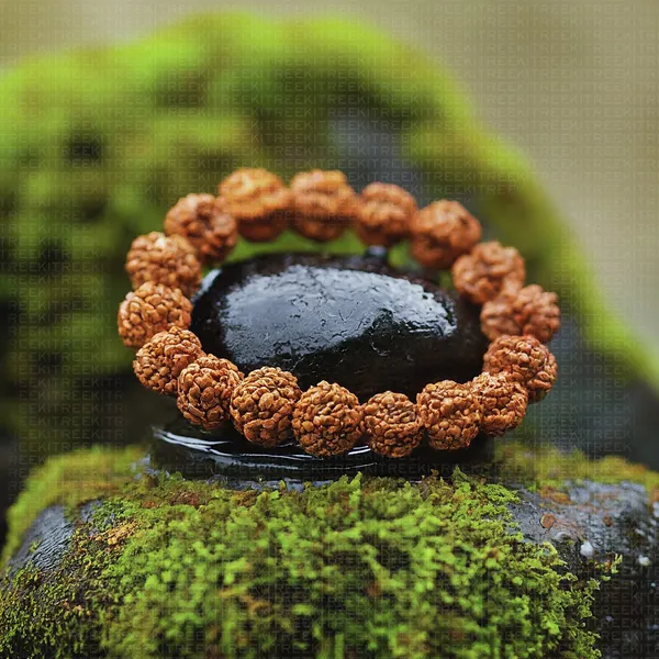 Brown_Rudraksha_Bracelet_For_Unisex