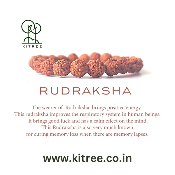 Brown_Rudraksha_Bracelet_For_Unisex