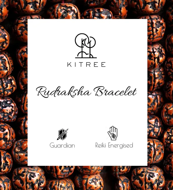 Brown_Rudraksha_Bracelet_For_Unisex