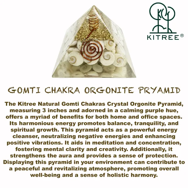 Natural_Gomati_Chakra_Pyramid_Enhance_Your_Spiritual_Energy_For_Spiritual_Healing