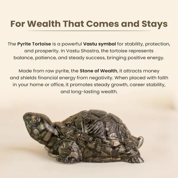 Natural_Pyrite_Vastu_Tortoise_(Kachhua)