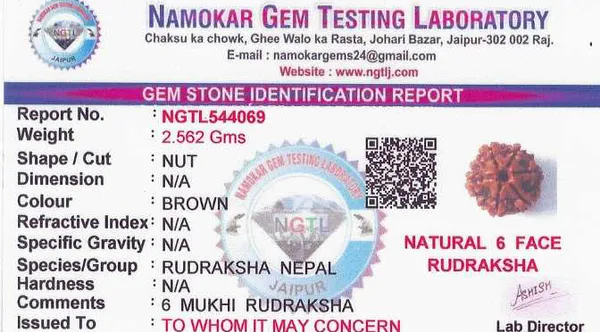 6_mukhi_Rudraksha_For_Male_and_Female_(Nepali)
