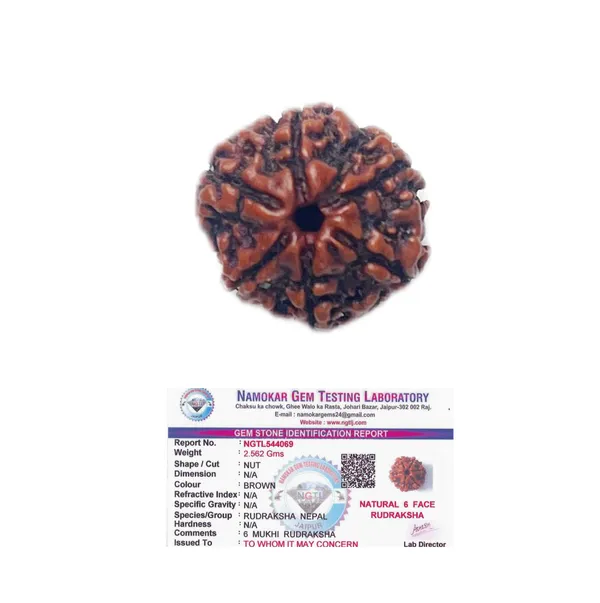 6_mukhi_Rudraksha_For_Male_and_Female_(Nepali)
