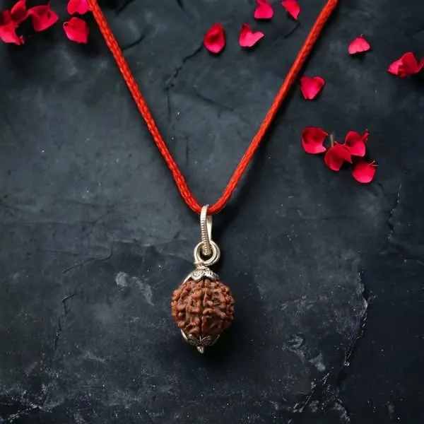 6_mukhi_Rudraksha_For_Male_and_Female_(Nepali)