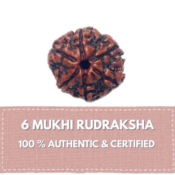 6_mukhi_Rudraksha_For_Male_and_Female_(Nepali)