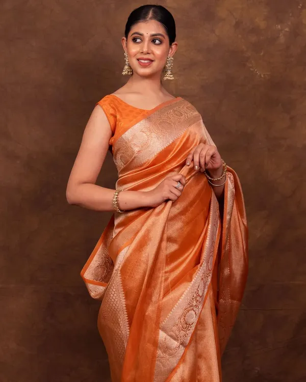 Exclusive_Tissue_silk_plain_Body_with_golden_Zarin_Boder_Banarasi_Saree