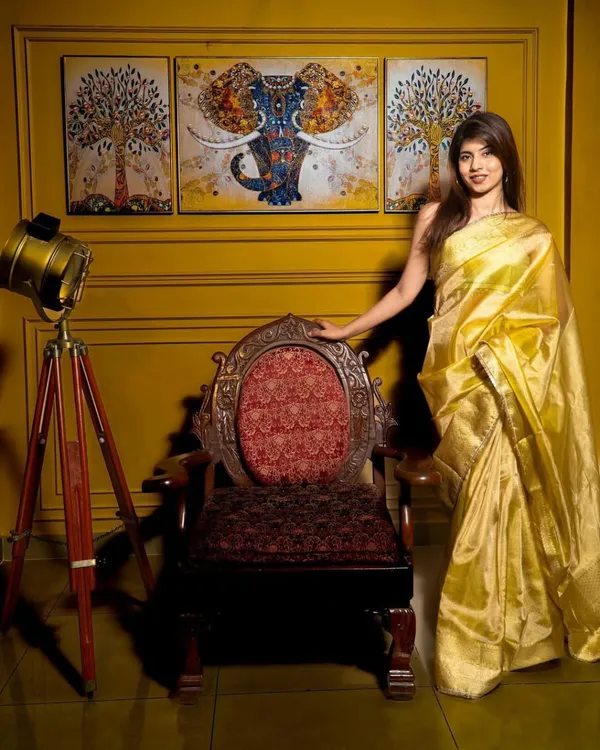 Exclusive_Tissue_silk_plain_Body_with_golden_Zarin_Boder_Banarasi_Saree