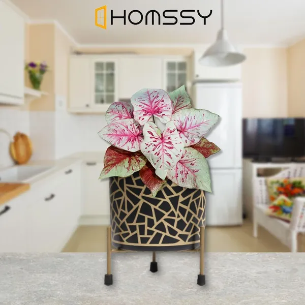 Black_&_Gold_Pot_With_Gold_Print_Elegant_Decorative_Planter_|_For_Indoor_And_Outdoor_Use
