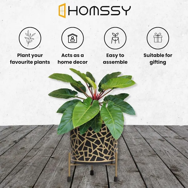 Black_&_Gold_Pot_With_Gold_Print_Elegant_Decorative_Planter_|_For_Indoor_And_Outdoor_Use