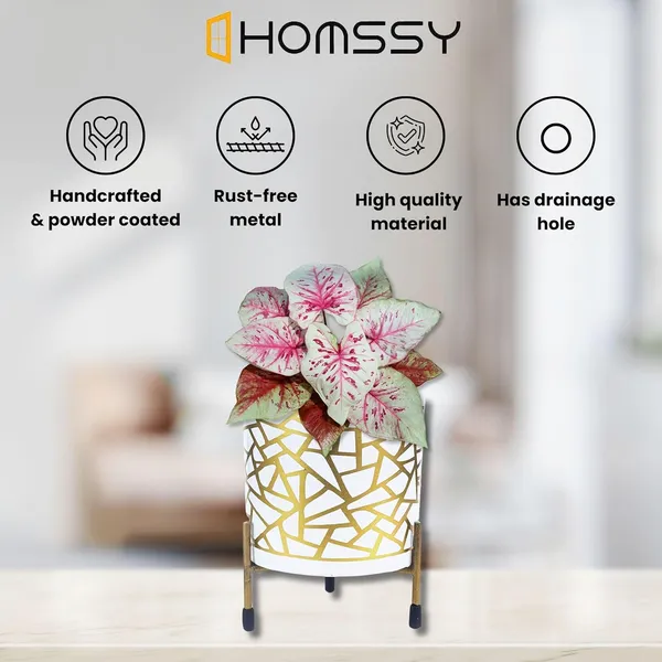 White_&_Gold_Pot_With_Print_Elegant_Decorative_Planter_|_For_Indoor_And_Outdoor_Use