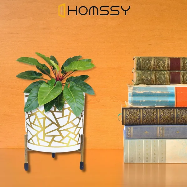White_&_Gold_Pot_With_Print_Elegant_Decorative_Planter_|_For_Indoor_And_Outdoor_Use