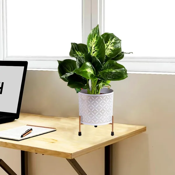White_&_Gold_Metal_Pot_With_Stand_(6.5_Inch)_Elegant_And_Durable_Indoor/Outdoor_Planter_|_For_Home_And_Garden_Decor