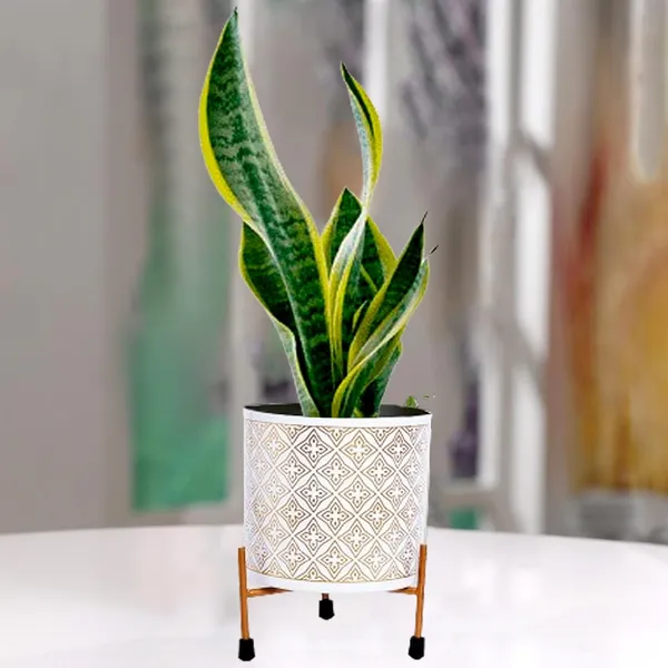 White_&_Gold_Metal_Pot_With_Stand_(6.5_Inch)_Elegant_And_Durable_Indoor/Outdoor_Planter_|_For_Home_And_Garden_Decor