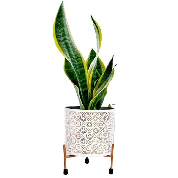 White_&_Gold_Metal_Pot_With_Stand_(6.5_Inch)_Elegant_And_Durable_Indoor/Outdoor_Planter_|_For_Home_And_Garden_Decor