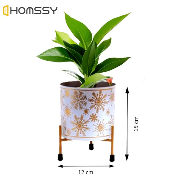 White_&_Gold_Metal_Pot_With_Stand_Elegant_And_Durable_Indoor/Outdoor_Planter_|_For_Home_And_Garden_Decor