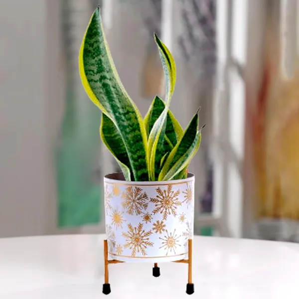 White_&_Gold_Metal_Pot_With_Stand_Elegant_And_Durable_Indoor/Outdoor_Planter_|_For_Home_And_Garden_Decor