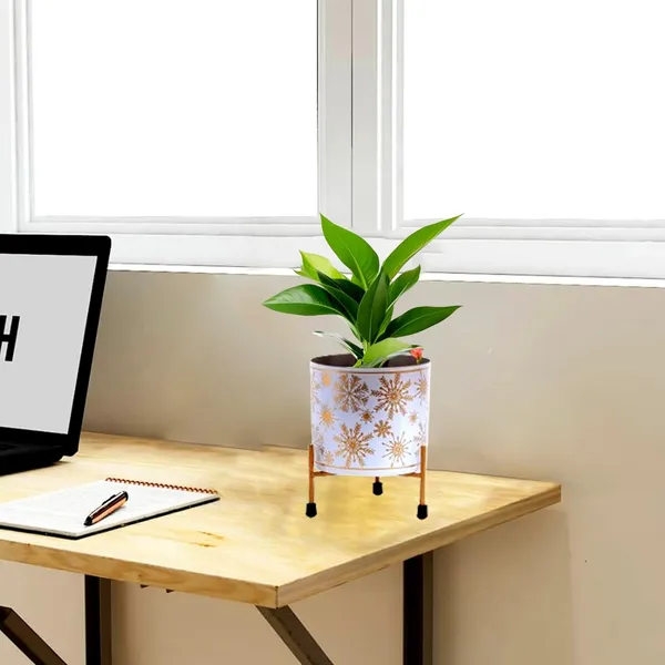 White_&_Gold_Metal_Pot_With_Stand_Elegant_And_Durable_Indoor/Outdoor_Planter_|_For_Home_And_Garden_Decor