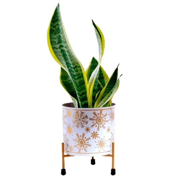 White_&_Gold_Metal_Pot_With_Stand_Elegant_And_Durable_Indoor/Outdoor_Planter_|_For_Home_And_Garden_Decor