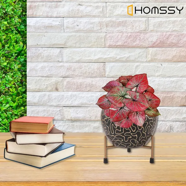 Iron_Designer_Pot_Elegant_Decorative_Planter_|_For_Indoor_And_Outdoor_Use