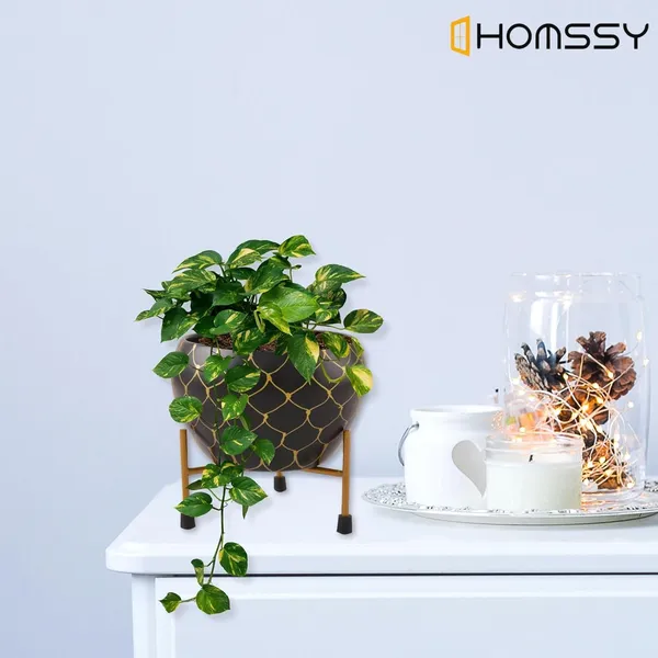 Black_Wave_Iron_Designer_Pot_Elegant_Decorative_Planter_|_For_Indoor_And_Outdoor_Use