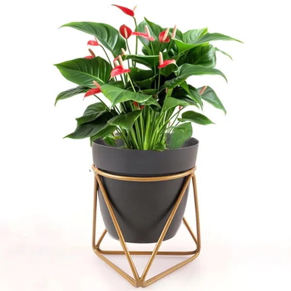 Black_Small_Pot_With_Stand_Elegant_Decorative_Planter_|_For_Indoor_And_Outdoor_Use