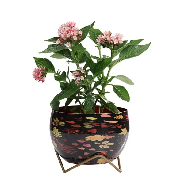 Pot_With_Stand__Elegant_Decorative_Planter_|_For_Indoor_And_Outdoor_Use