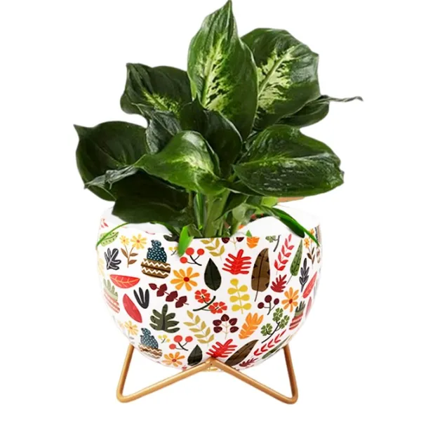 Pot_With_Stand__Elegant_Decorative_Planter_|_For_Indoor_And_Outdoor_Use