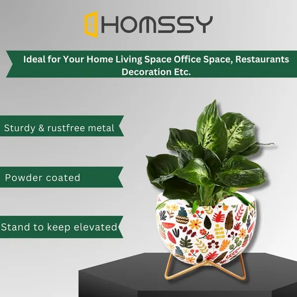 Pot_With_Stand__Elegant_Decorative_Planter_|_For_Indoor_And_Outdoor_Use