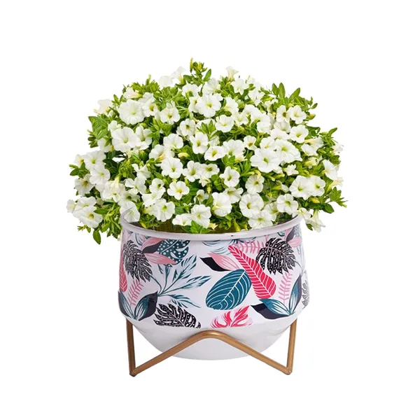 Metal_Pot_With_Stand_(6._5_Inch)__Elegant_Decorative_Planter_|_For_Indoor_And_Outdoor_Use