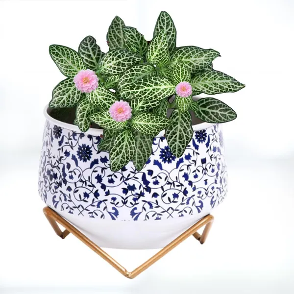 White_Metal_Pot_With_Stand_(5_Inch)_Elegant_And_Durable_Indoor/Outdoor_Planter_|_For_Home_And_Garden_Decor